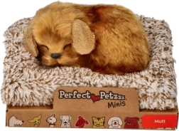 Малко кученце Perfect Petzzz
