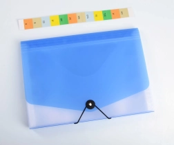 A4 Document Organizer Opaline clear/blue, 13 pockets with elastic closure