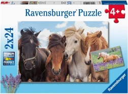 Horse Photos 2x24 Pieces