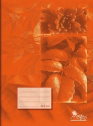A4 school notebook lined, 20 sheets, orange