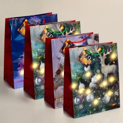 LED Gift Bag with Warm White Lighting - 1 Piece