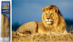 Диамантено рисуване Лъвско величие 30x40 см