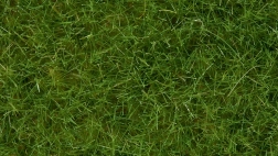 Static Grass Wild Light Green 6 mm Noch