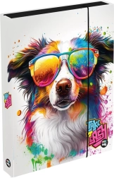 Кутия за тетрадки A4 Jumbo с куче