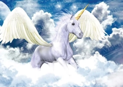 Pegasus in the Sky Puzzle 1000 Pieces MAGNOLIA
