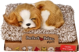 Спящо кученце Cavalier King Charles Perfect Petzzz