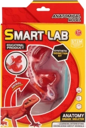 Научен анатомичен комплект – гущер