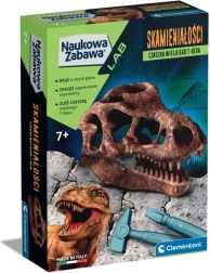 Scientific set fossil T-Rex skull