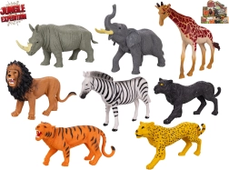 Jungle Expedition Safari Animals