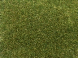 Noch wild medium green grass 9mm