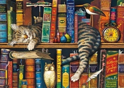Schmidt Puzzle 1000 Pieces – Frederick the Literate