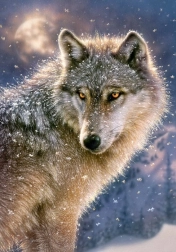 Пъзел 500 части Lone Wolf