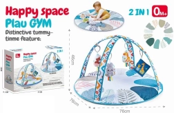 Educational 2-in-1 Baby Play Mat