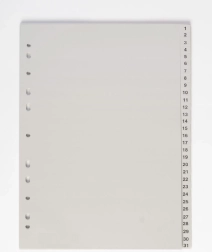Document Divider A4 1-31