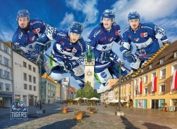 Пъзел STRAUBING TIGERS 1000 части от EUROGRAPHICS