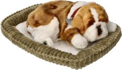 Дишащо булдогче