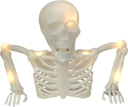 Tabletop Skeleton 40 cm