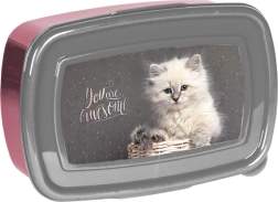 Paso кутия за закуска с коте 750 ml