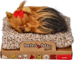 Perfect Petzzz малко кученце йоркширски териер