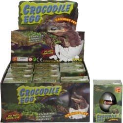 Яйце с растящ крокодил за вода