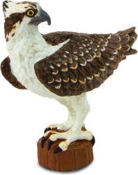 Safari Ltd. sea eagle figurine