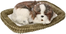 Осинови ме – дишащо кученце Shih Tzu