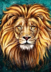 Lion puzzle 1000 pieces MAGNOLIA