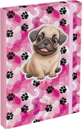 Binders for School Notebooks Paw Patrol A4