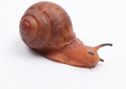 Гумен охлюв 13 cm