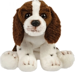 Plush Spaniel Dog