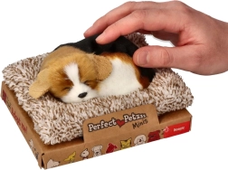 Лаещ бигъл на легълце