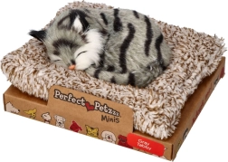Perfect Petzzz малко сиво тигрово котенце