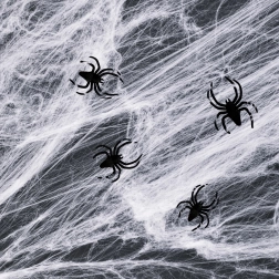 White Halloween Spider Web with Spiders