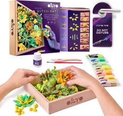 OKTO Energy Creative Modeling Kit with Succulents in a Wooden Frame