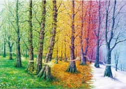 Puzzle Threads of Life 1000 pieces MAGNOLIA