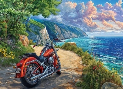 Пъзел Пристигане 500 части от Cobble Hill