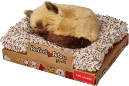 Perfect Petzzz малко сиамско котенце