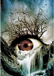 Diamond Painting Eye