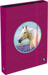 Кутия за тетрадки A4 Jumbo OXY Sherpy Pink