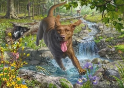 Puzzle Retriever in Spring 1000 Pieces