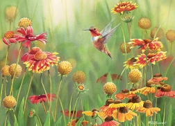Puzzle Hummingbirds 500 Pieces COBBLE HILL
