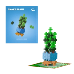 Plus-Plus flower Snake Plant