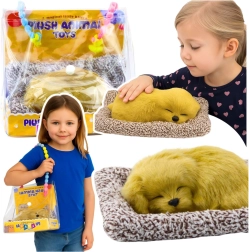 Спящо кученце лабрадор на възглавничка с пухкава „козинка“ в преносима чанта
