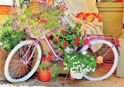 Flower Bicycle Puzzle 1000 Pieces