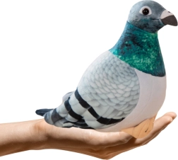 Плюшов гълъб гугутка 20 см