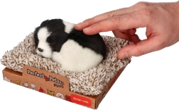 Спяща бордър коли на легълце