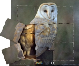 Just Jigsaws Сова и нейният жизнен цикъл - дървен слоест пъзел