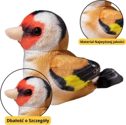 Малка плюшена птича Синигер син