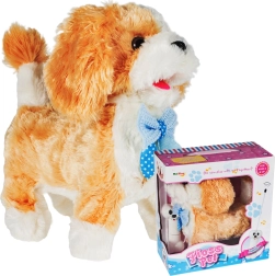 Кученце с дистанционно управление