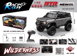 RC Car Wilderness 1:10 Grey